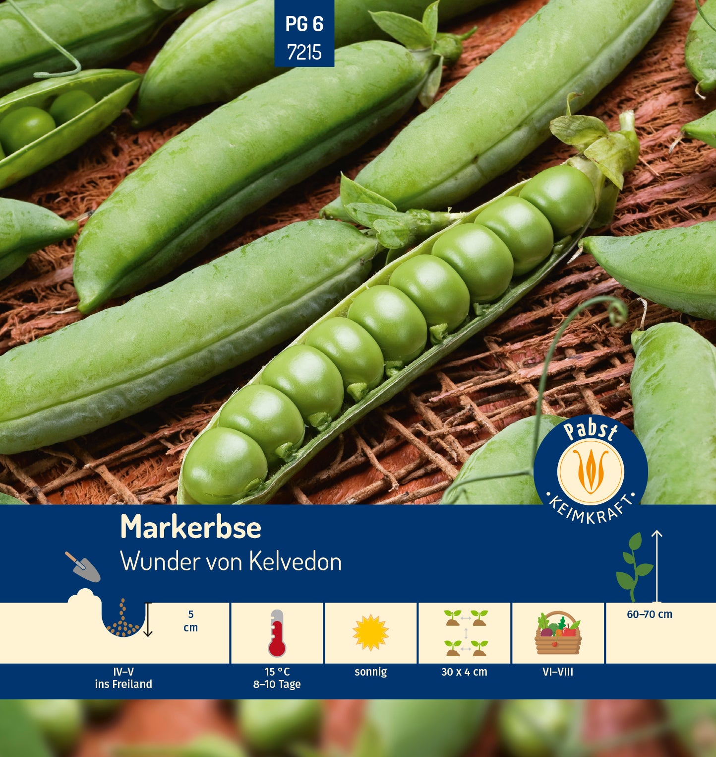 Markerbse mittelfrüh & sehr ertragreich Wunder von Kelvedon