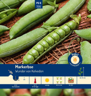 Markerbse mittelfrüh & sehr ertragreich Wunder von Kelvedon