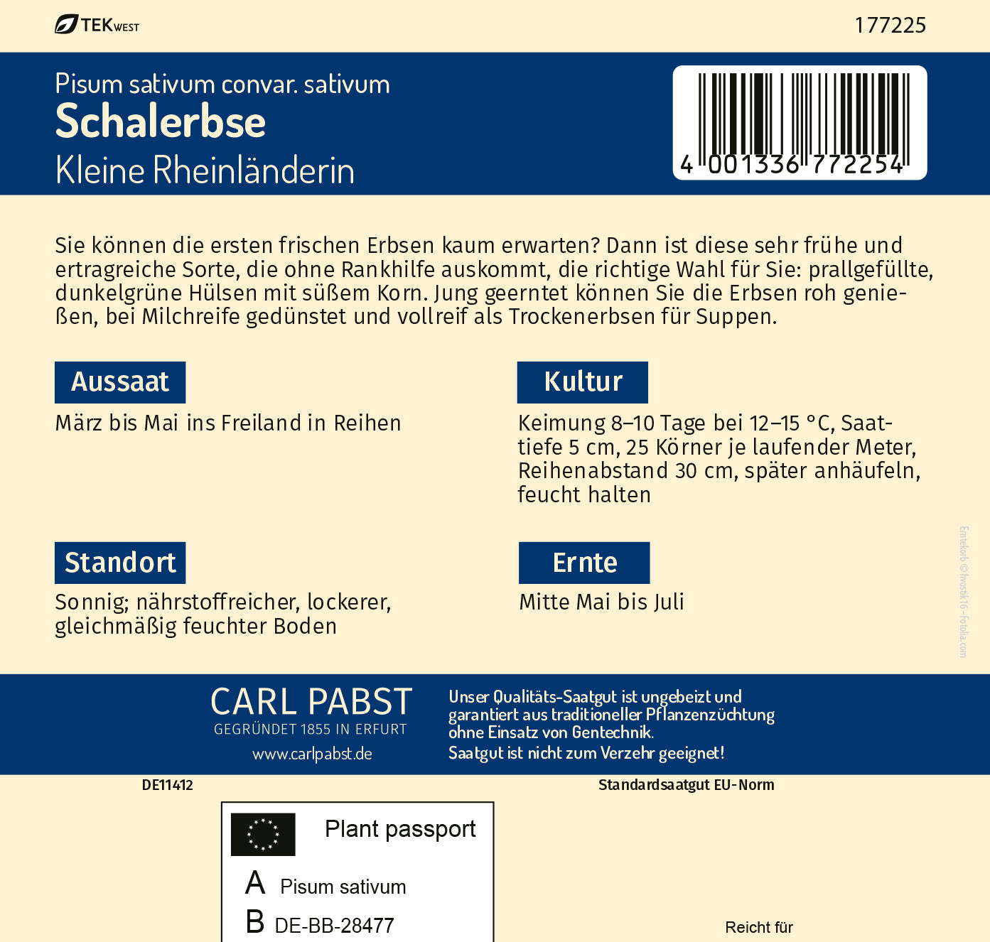 Schalerbse sehr früh & süß Kleine Rheinländerin