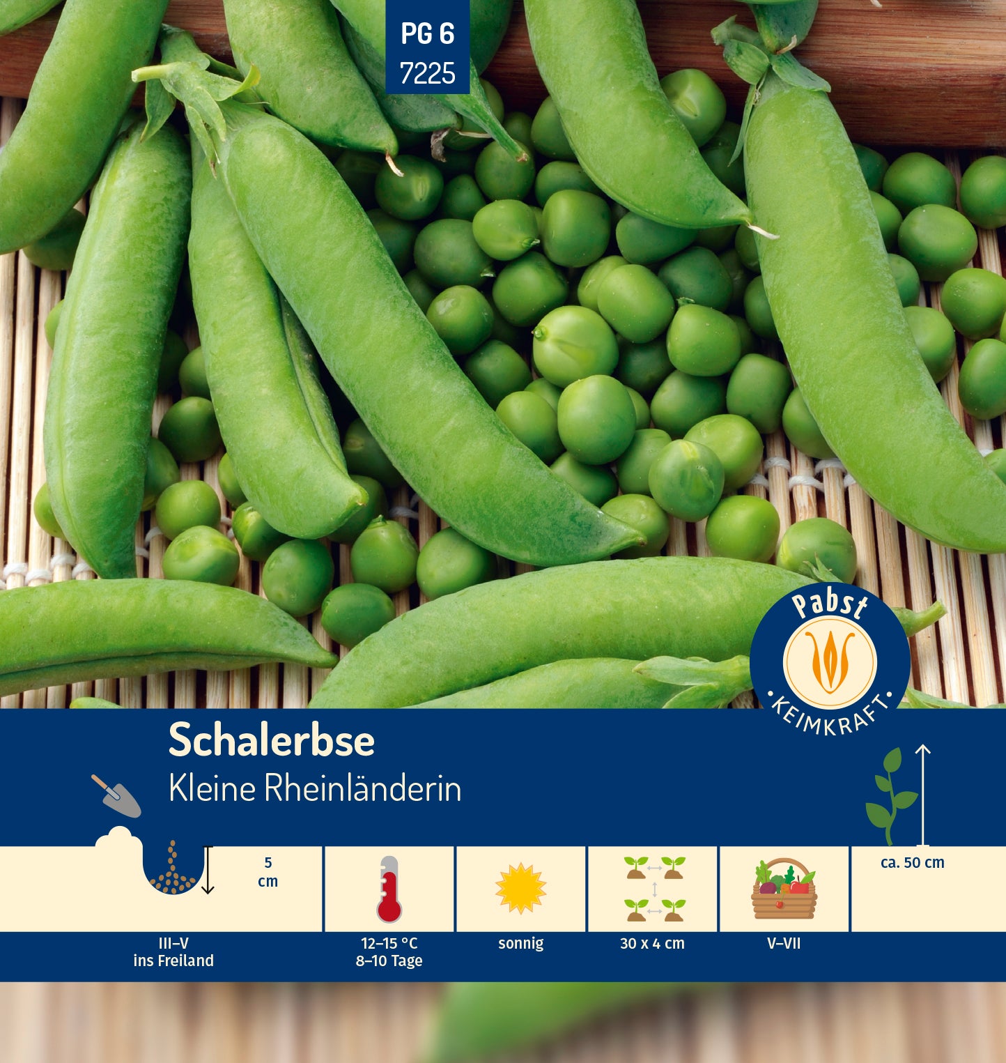 Schalerbse sehr früh & süß Kleine Rheinländerin