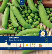 Schalerbse sehr früh & süß Kleine Rheinländerin