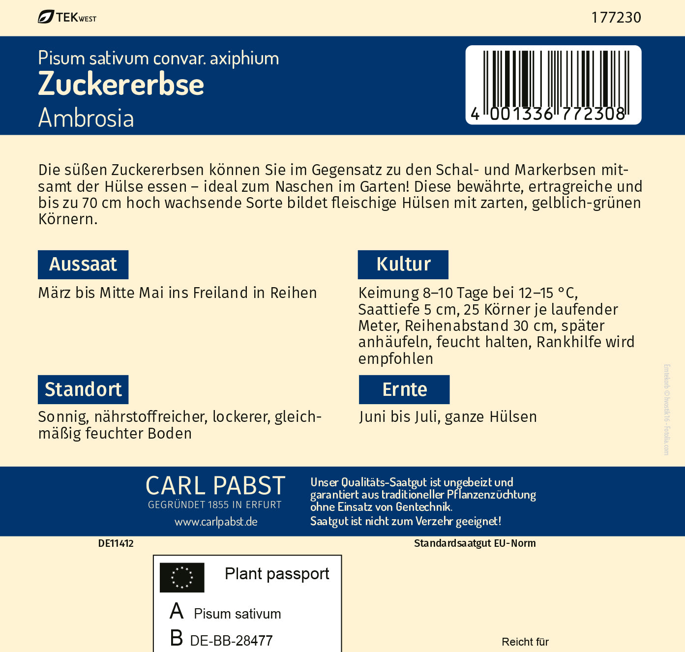Zuckererbse mittelfrüh & fleischig Ambrosia