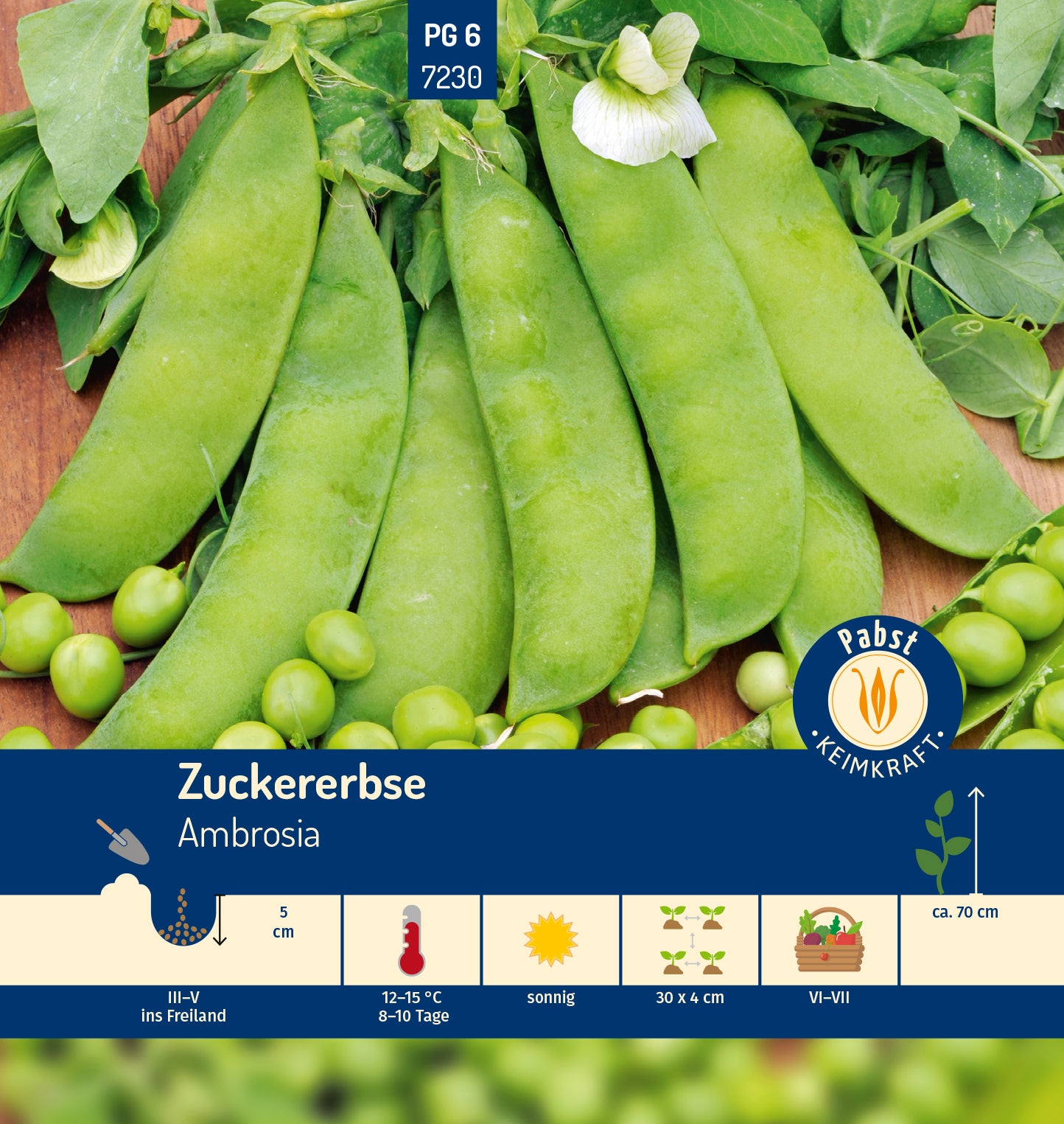 Zuckererbse mittelfrüh & fleischig Ambrosia