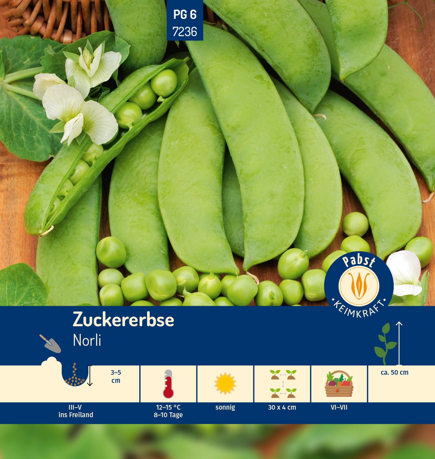 Zuckererbse früh & zart Norli