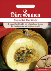 Ölkürbis Herakles