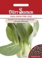 Asia-Salat Pak Choi
