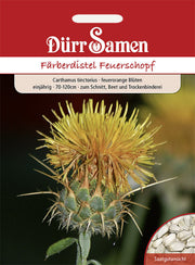 Färberdistel Feuerschopf einjährig 70-120 cm