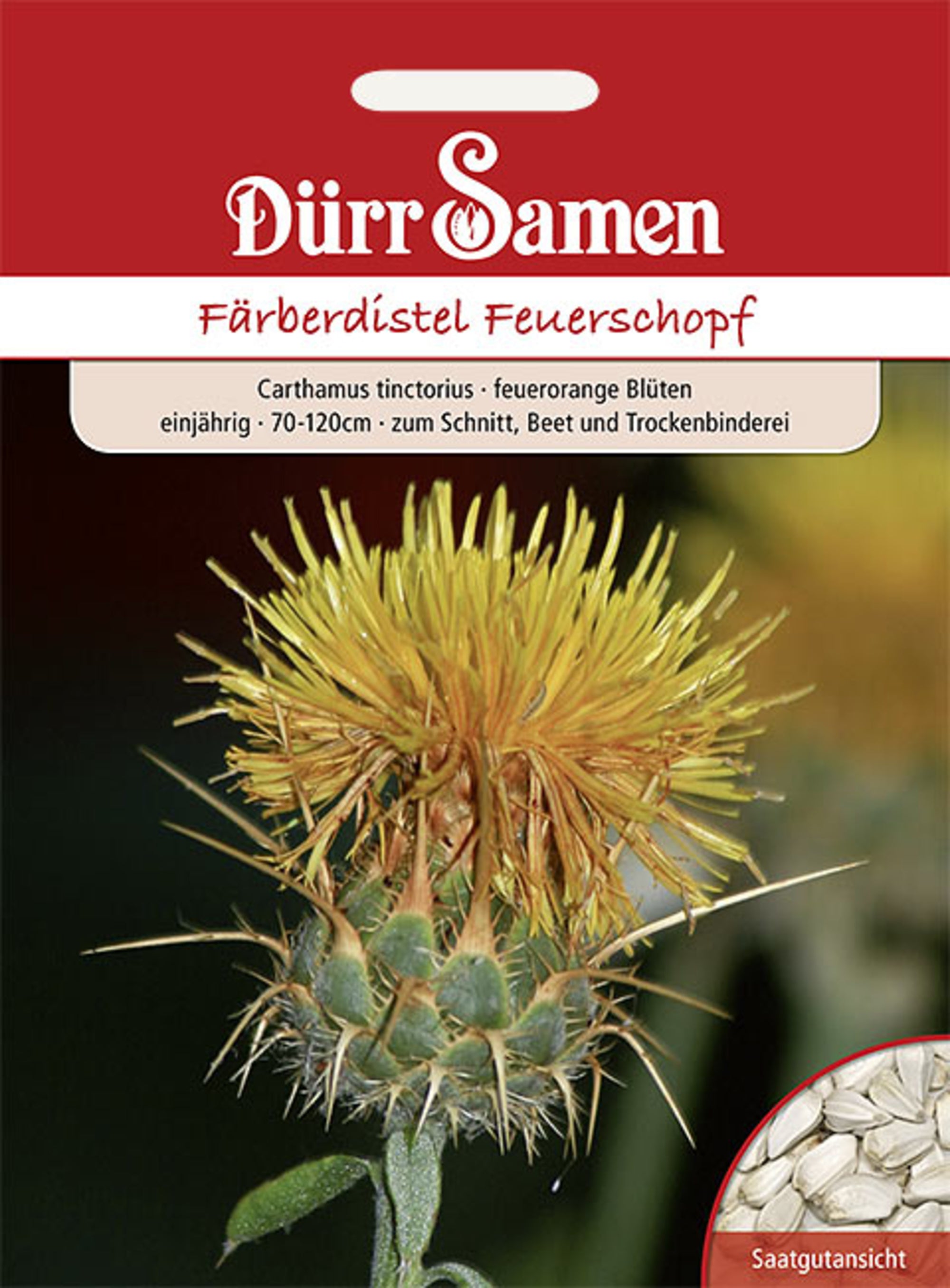 Färberdistel Feuerschopf einjährig 70-120 cm