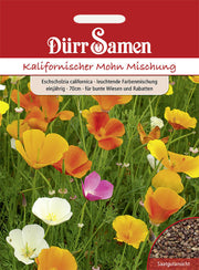 Kalifornischer Mohn leuchtende Farbmischung einjährig