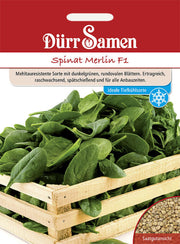 Spinat Merlin F1
