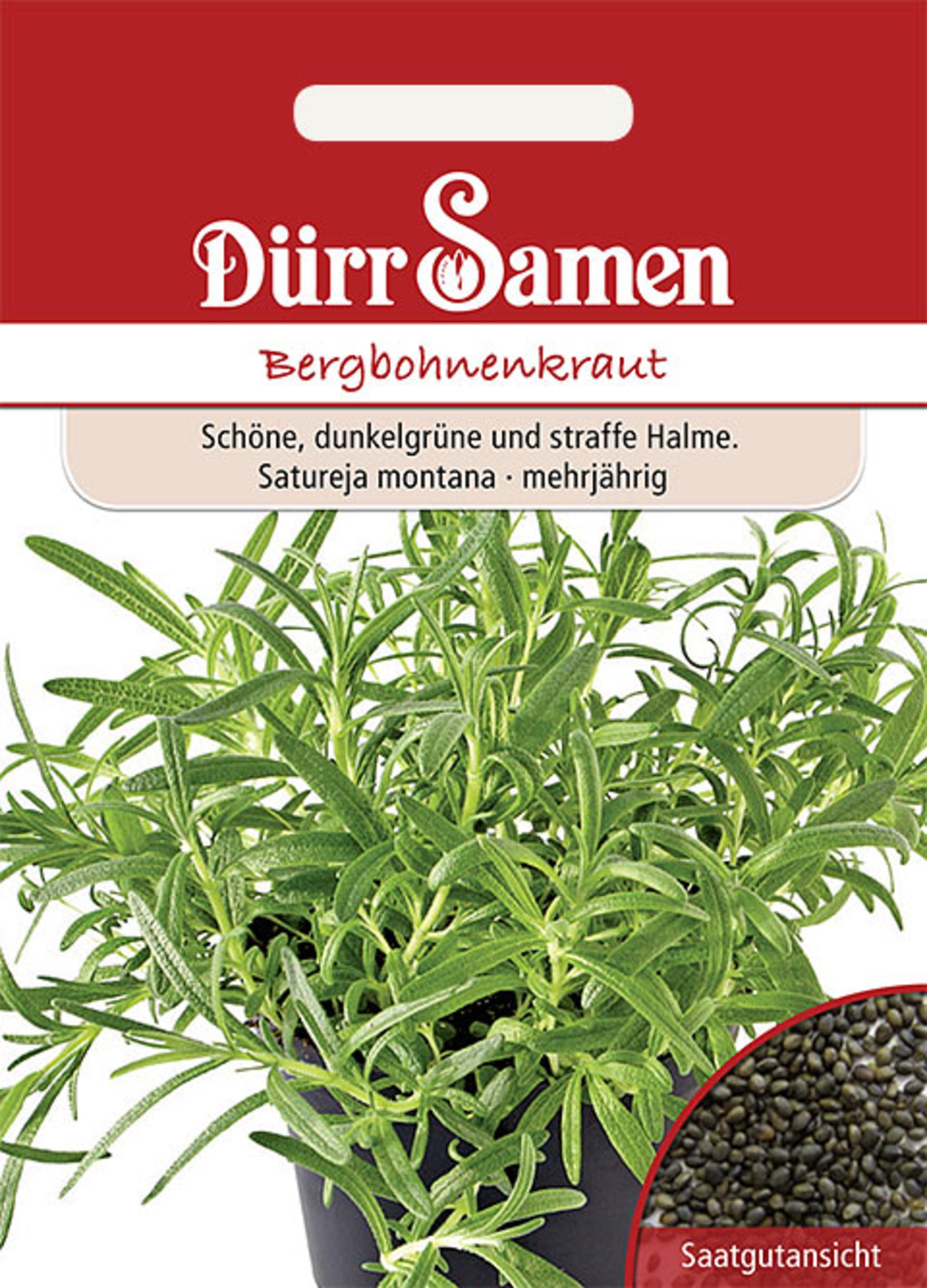 Bergbohnenkraut