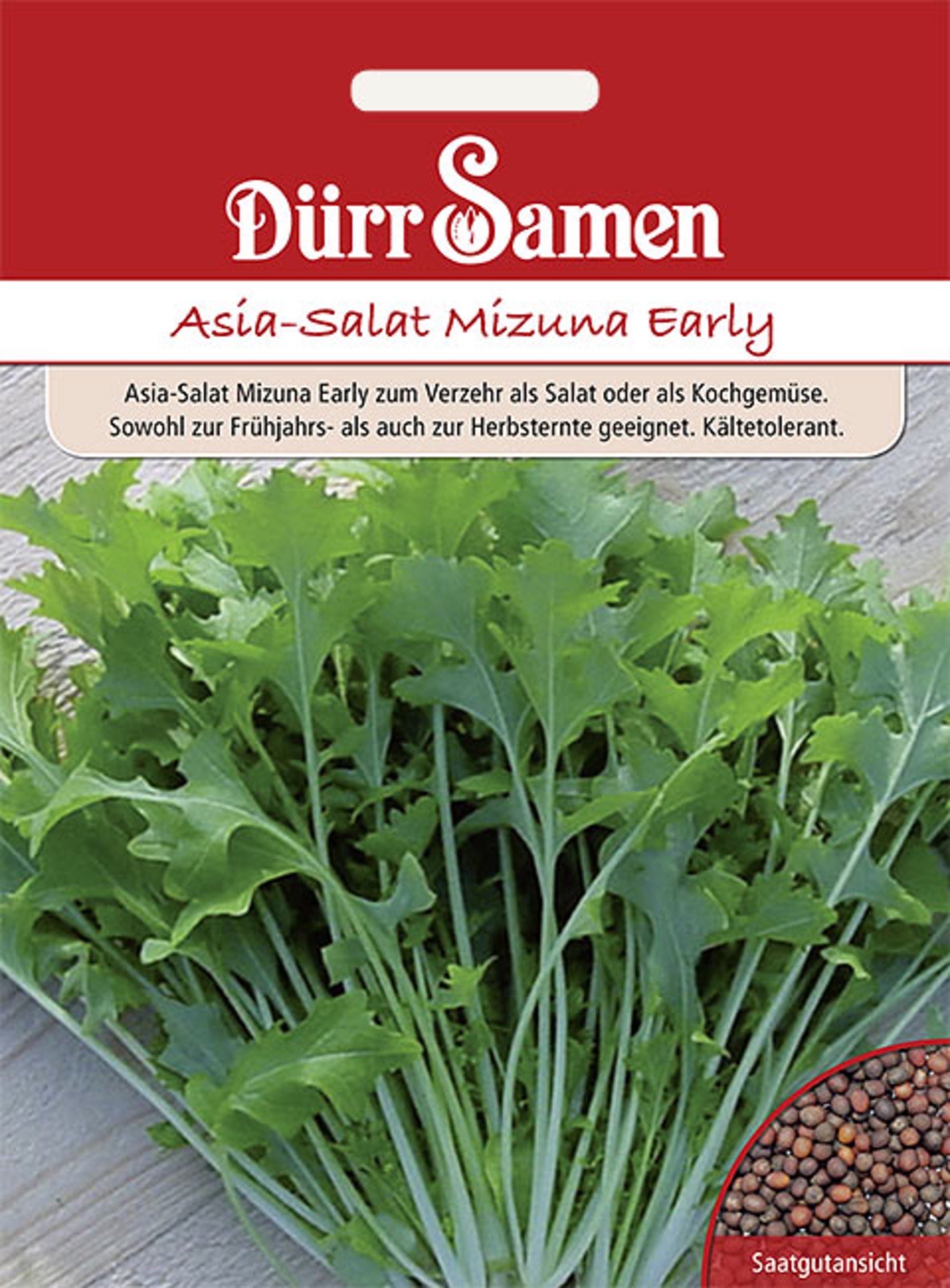 Asia-Salat Mizuna Early