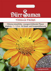 Tithonie Fackel orangerot einjährig 1 15m