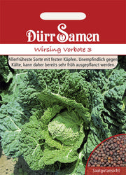 Wirsing Vorbote