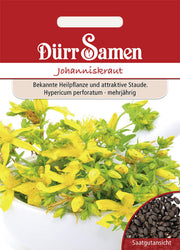 Johanniskraut