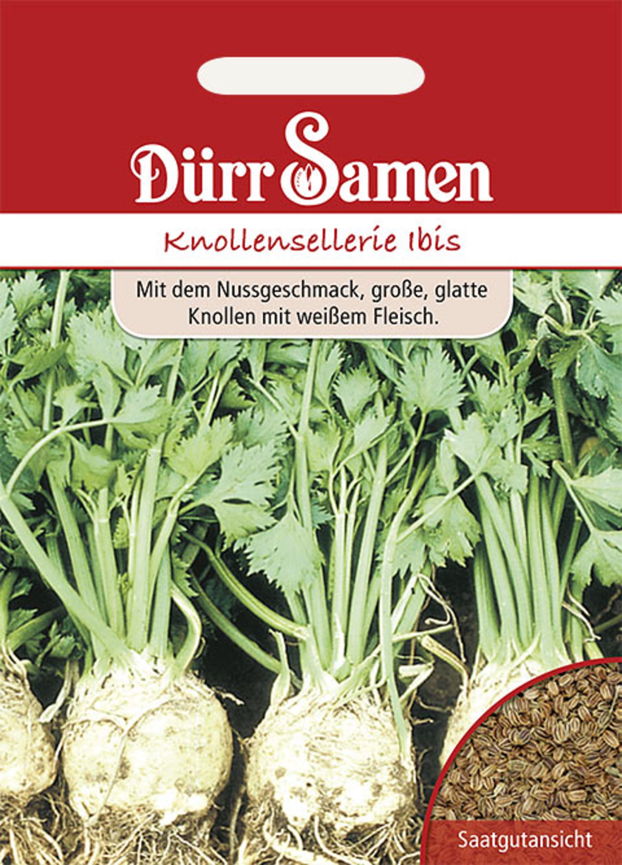 Knollensellerie Ibis