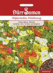 Alpenmohn Mischung mehrjährig 20 cm