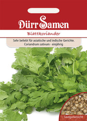 Blattkoriander