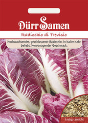 Radicchio di Treviso