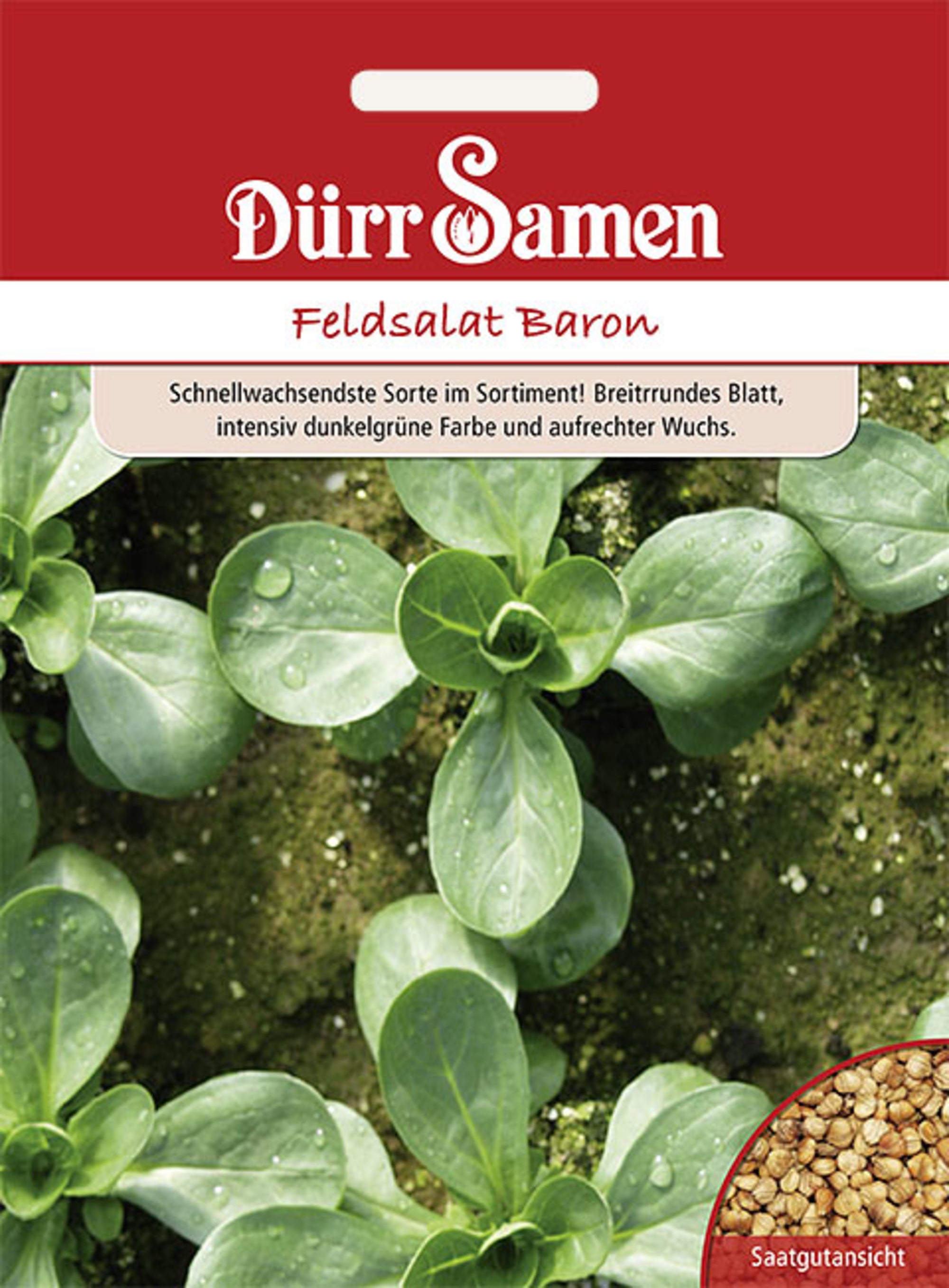 Feldsalat Baron