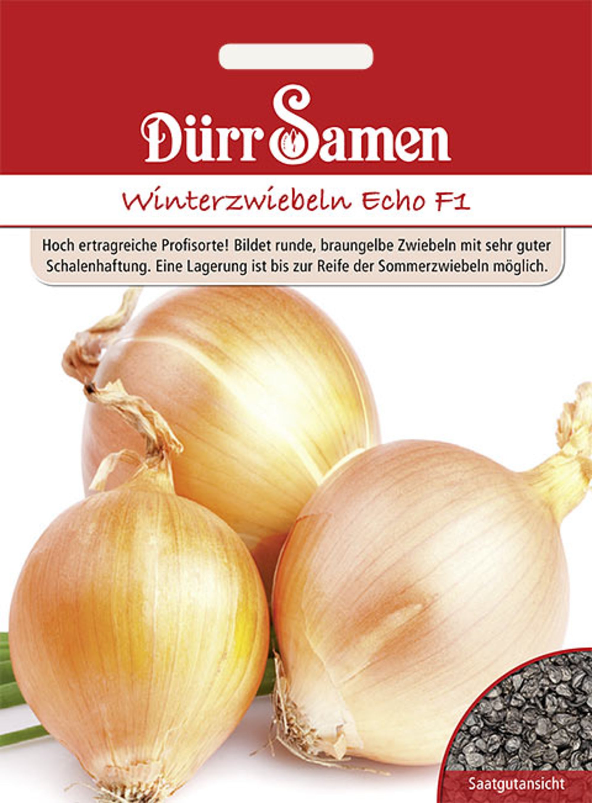Winterzwiebeln Echo F1