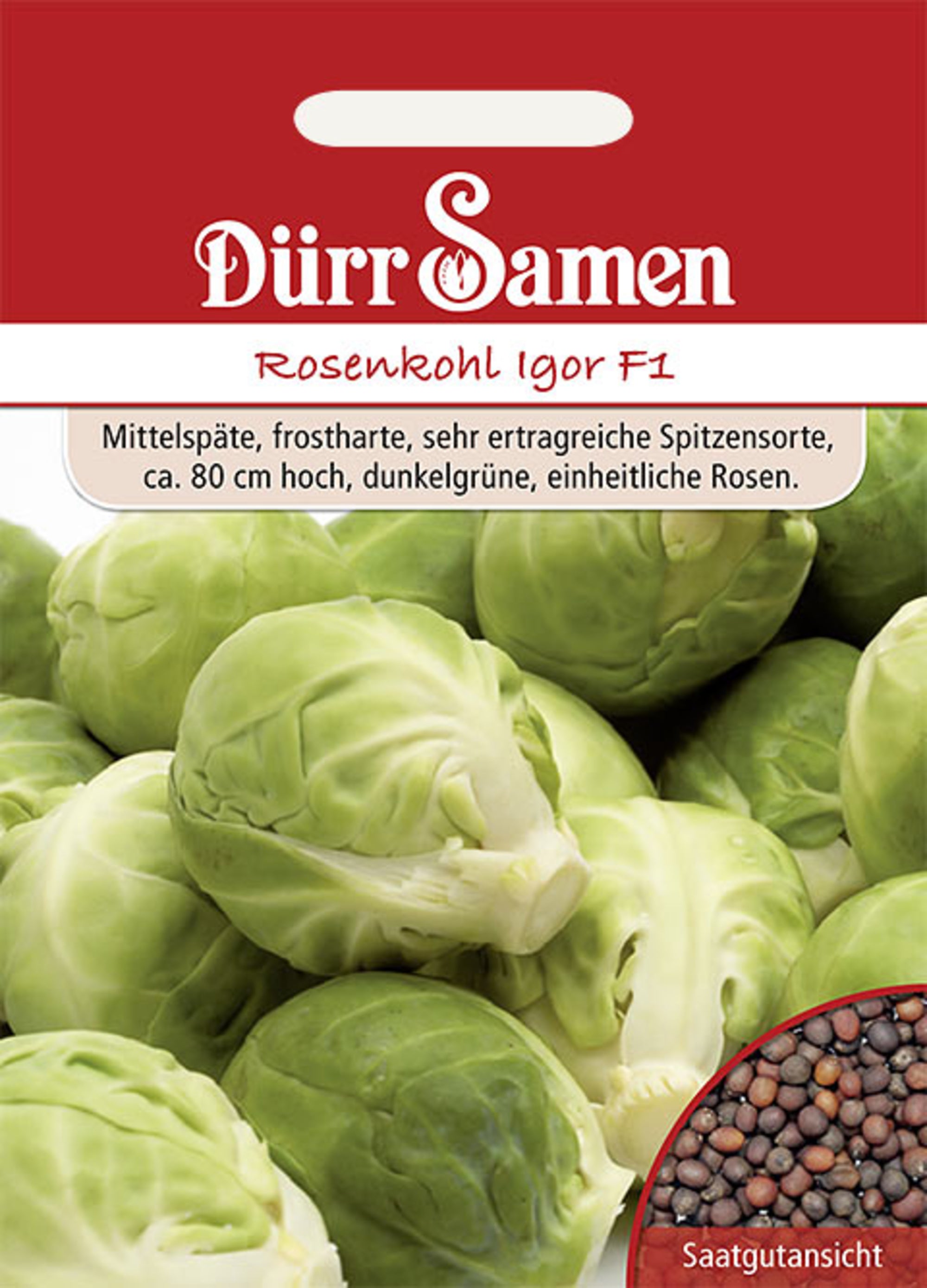 Rosenkohl Igor F1