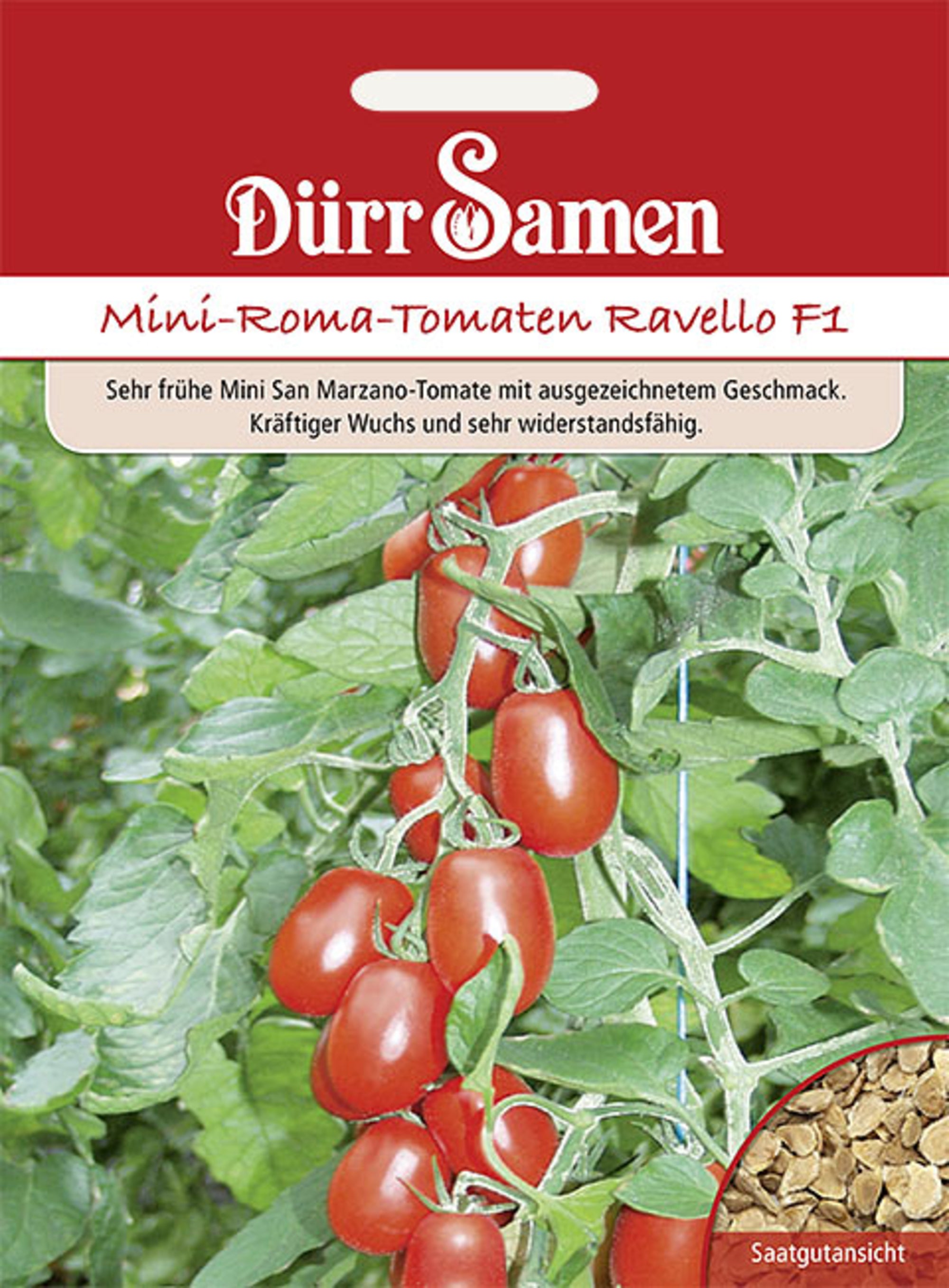 Roma-Tomaten Ravello F1
