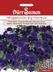 Petunien Big Time Blue dunkelblau einjährig 100 cm