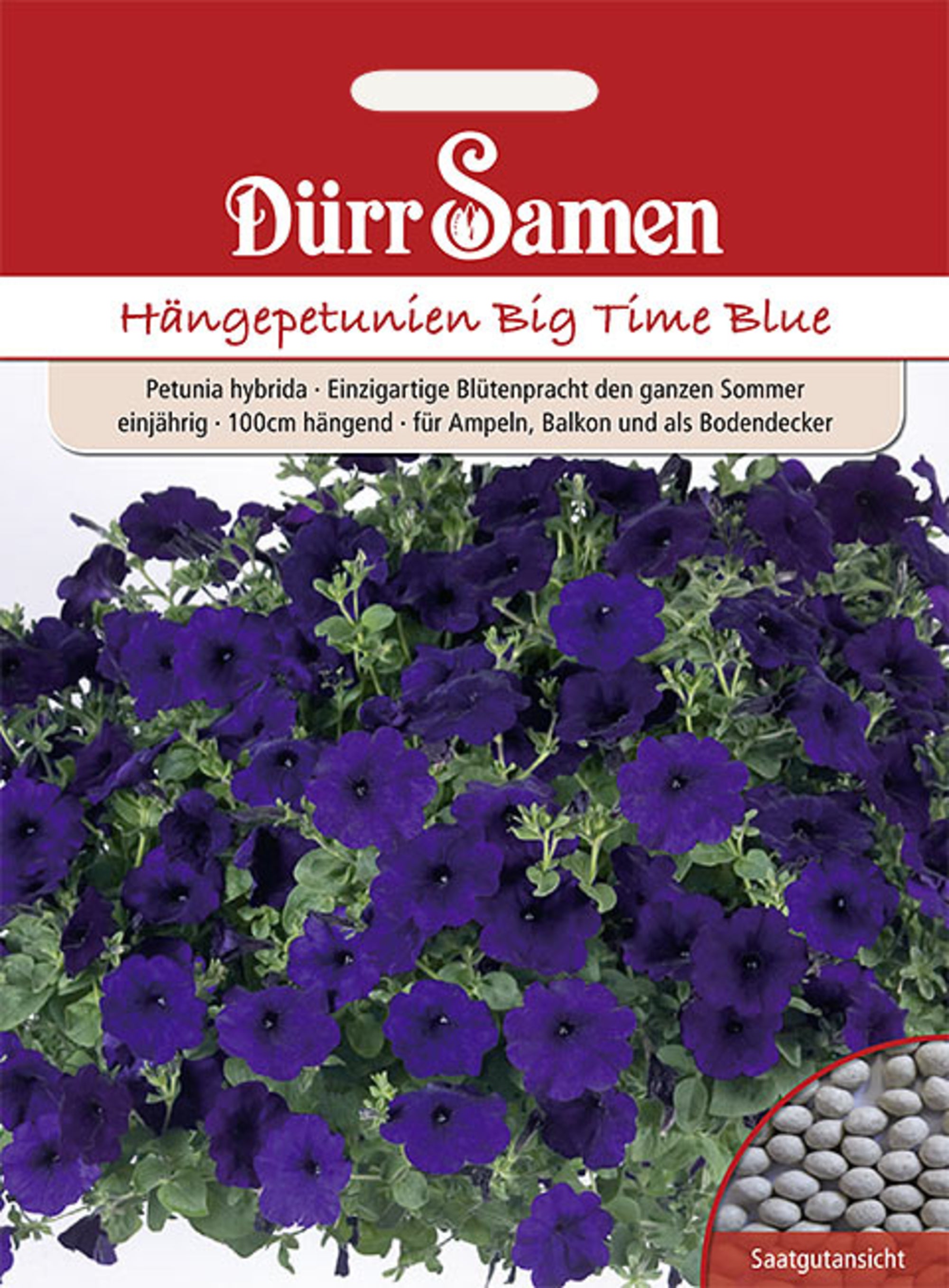Petunien Big Time Blue dunkelblau einjährig 100 cm