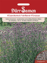 Eisenkraut Finesse lilafarbene Blüten ein-mehrjährig