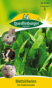 Blattzichorie (für Futterzwecke)
