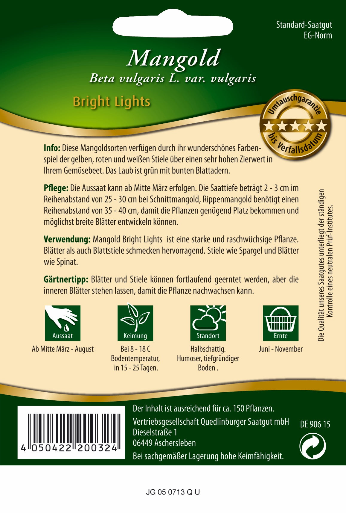 Mangold Bright Lights