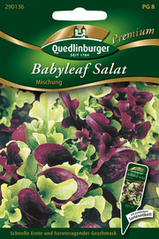 Pflücksalat Babyleaf Misch