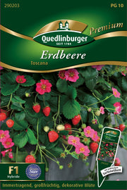 Erdbeere Toscana