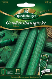 Gewächshausgurken Saturn