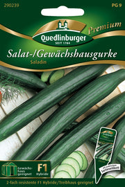 Gewächshausgurken Saladin