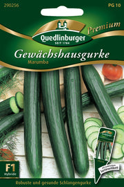 Gewächshausgurken Marumba