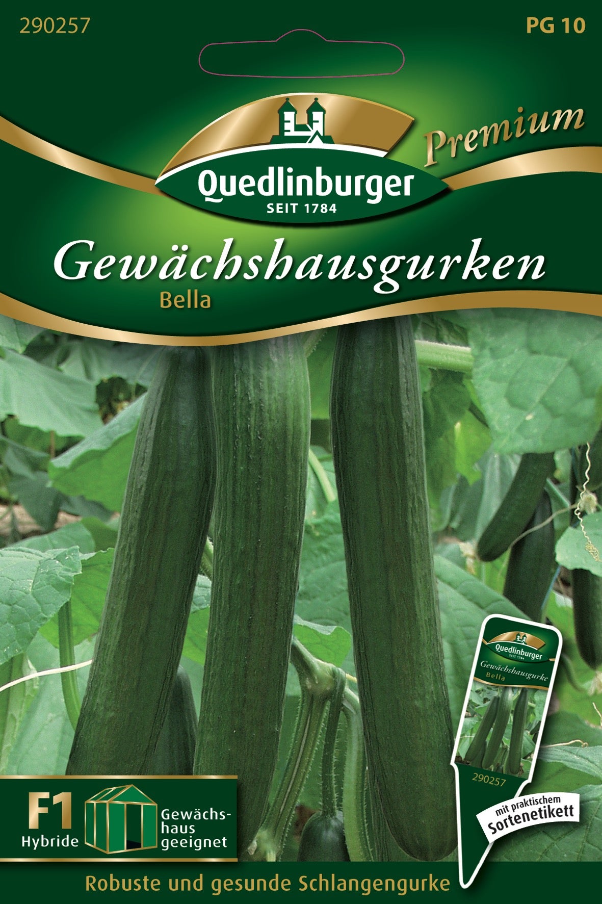 Gewächshausgurken Bella