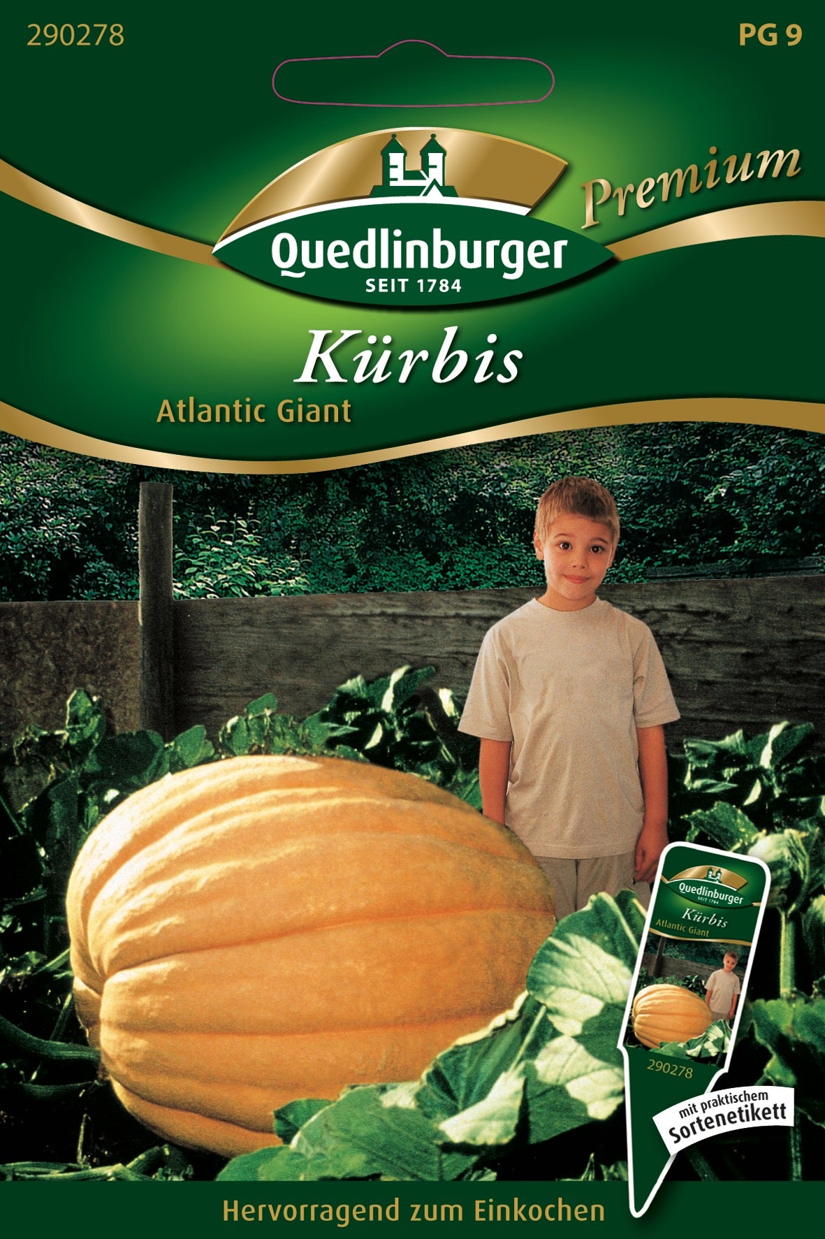 Kürbis Atlantic Giant
