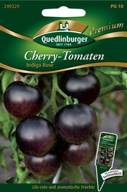 Tomaten Cherry Indigo rose