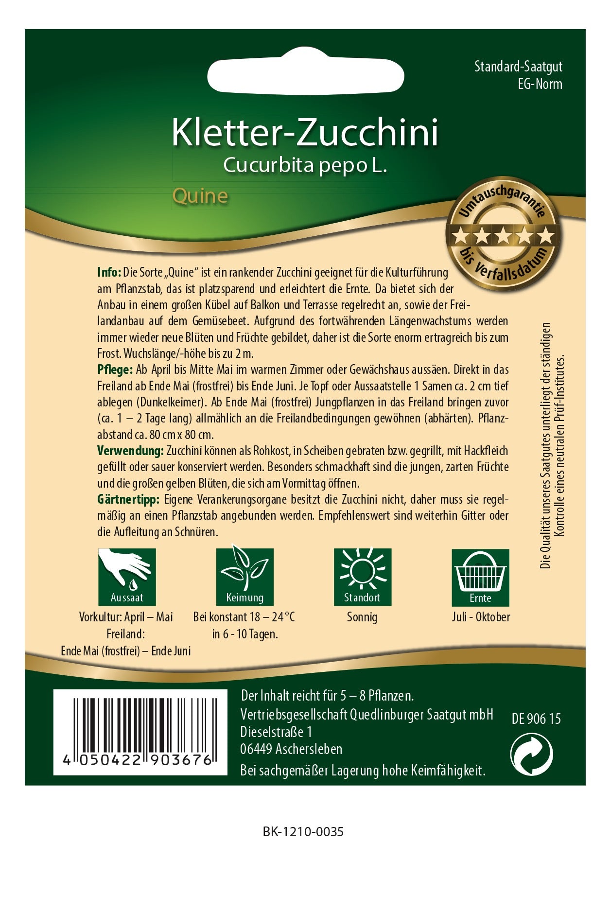 Kletterzucchini Quine