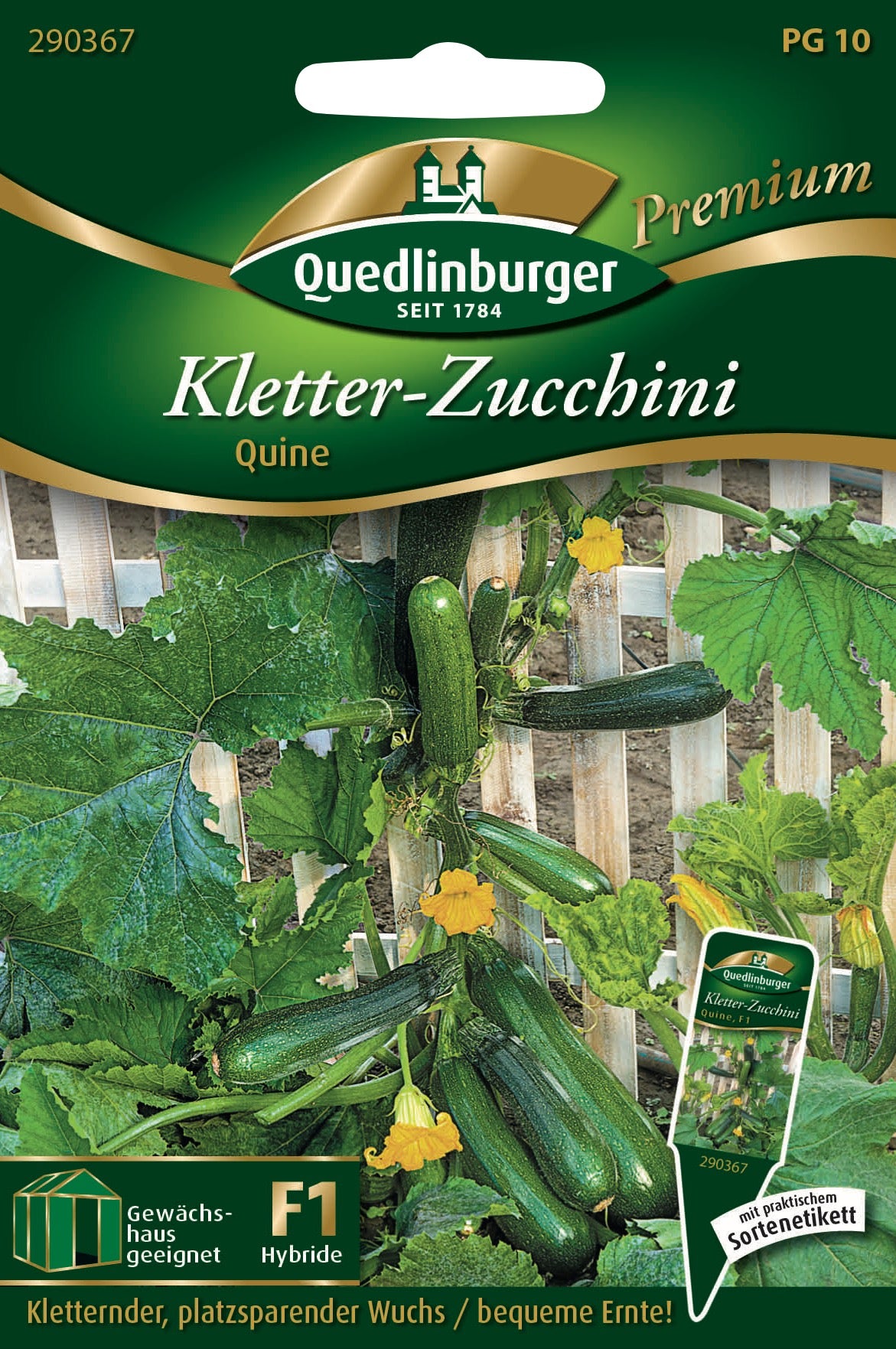 Kletterzucchini Quine