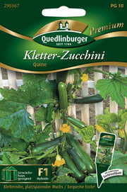 Kletterzucchini Quine