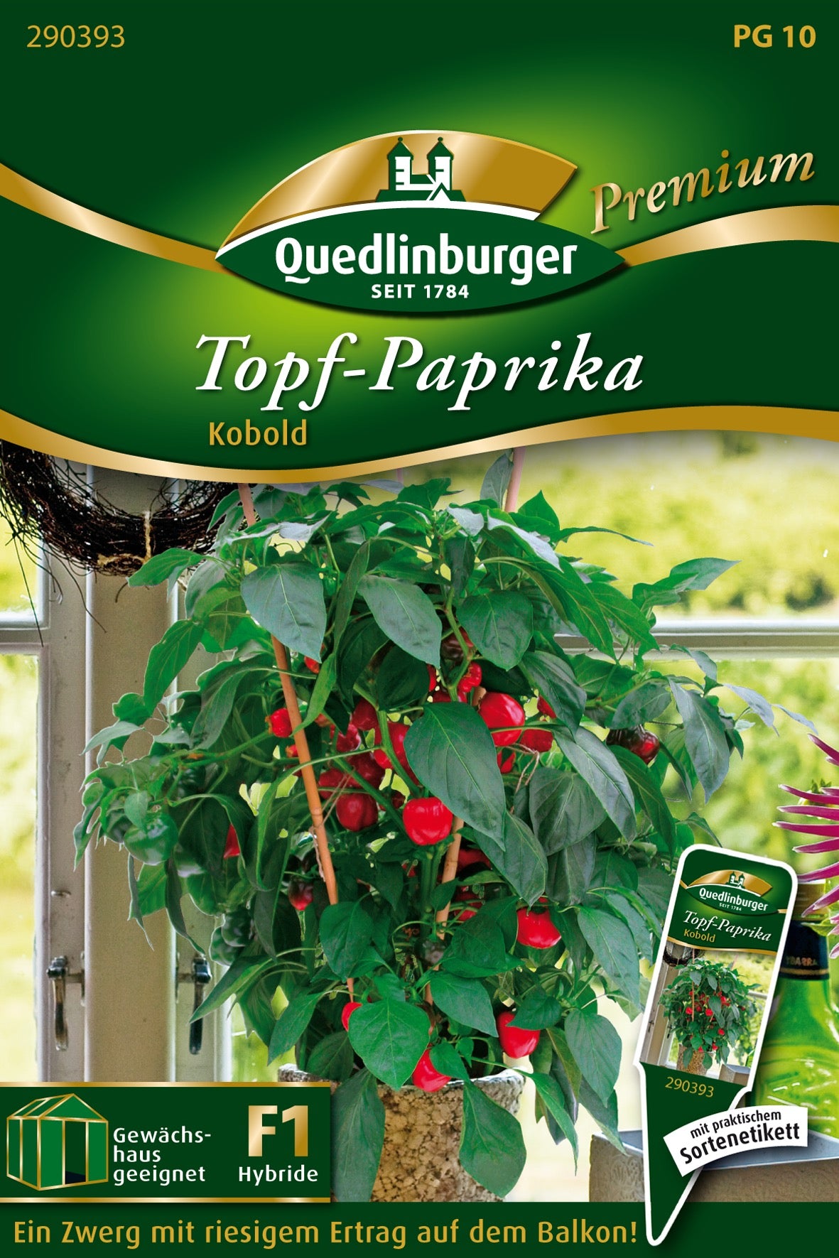 Topf-Paprika rot Kobold