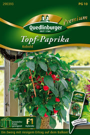 Topf-Paprika rot Kobold