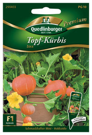 Kürbis Topf-Mini Hokkaido Zora