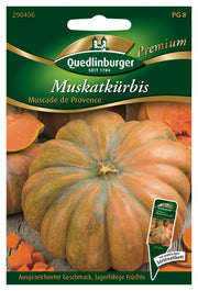 Muskat-Kürbis Muscade de Prov