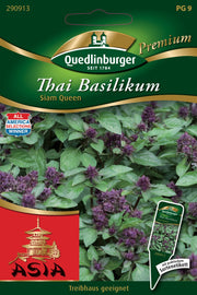 Thai-Basilikum Siam Queen