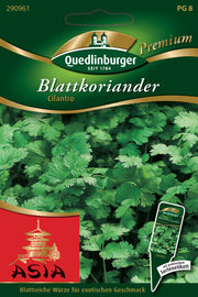 Koriander Blatt Cilantro