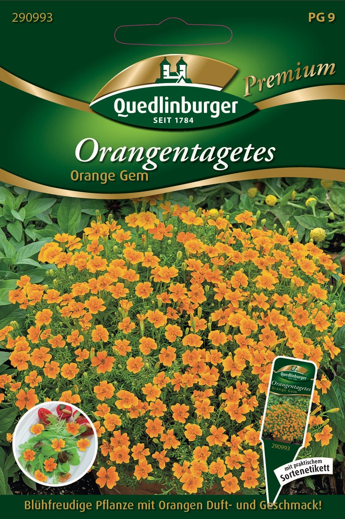 Orangen-Tagetes Orange GEM